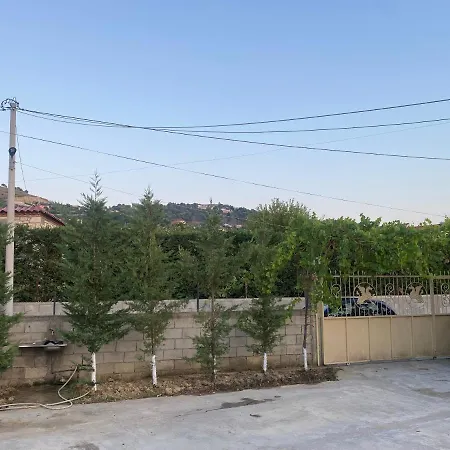 Violeta Of * Berat