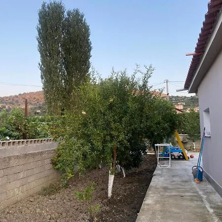 Nyaraló Violeta Of *